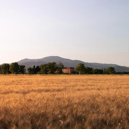 Agriturismo Il Pescinone Venturina Terme Exterior foto