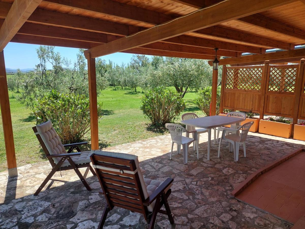 Agriturismo Il Pescinone Venturina Terme Exterior foto