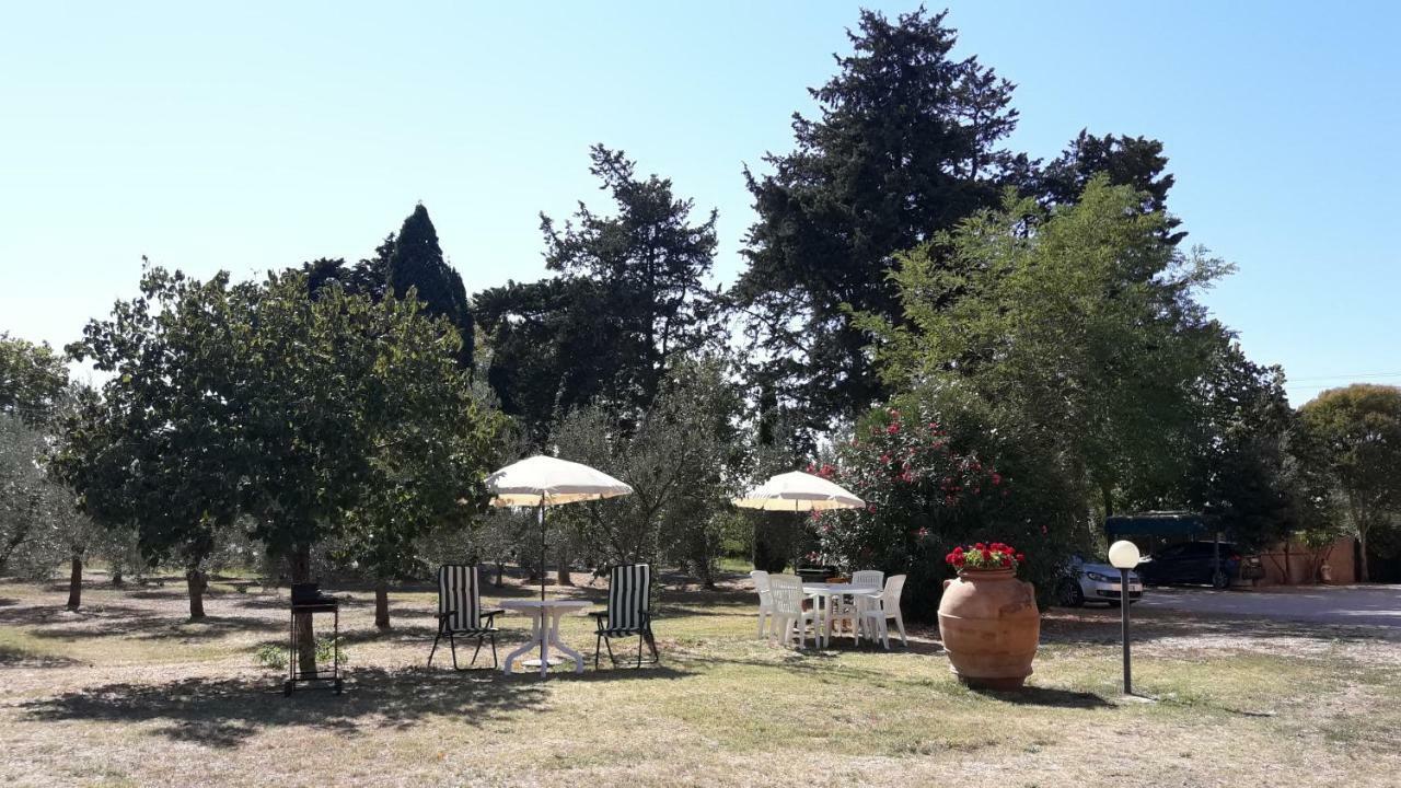 Agriturismo Il Pescinone Venturina Terme Exterior foto