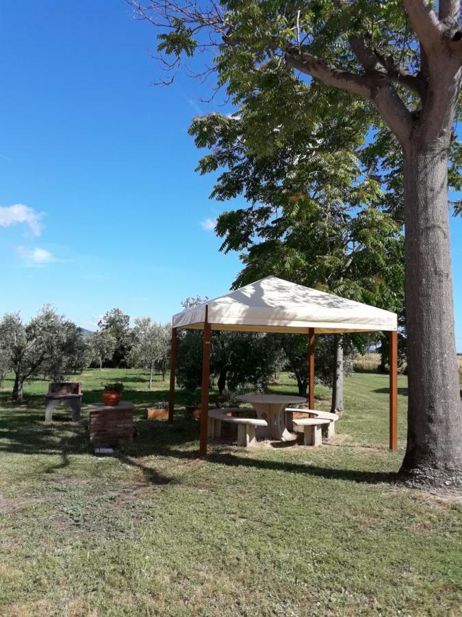 Agriturismo Il Pescinone Venturina Terme Exterior foto