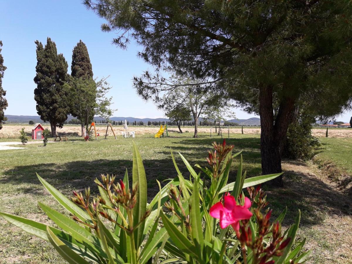 Agriturismo Il Pescinone Venturina Terme Exterior foto