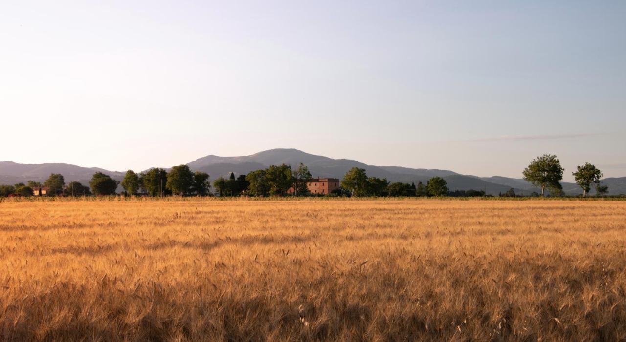 Agriturismo Il Pescinone Venturina Terme Exterior foto